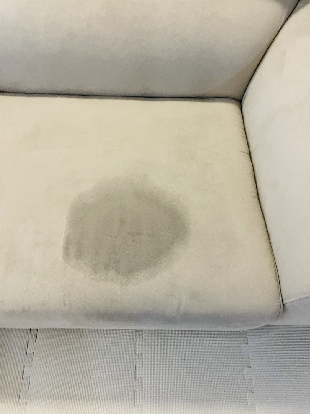 고양이 특발성 방광염 증상과 재발 관리, 이사·다이어트·손님에 무너진 막내 이야기 고양이 특발성 방광염 재발로 소파에 남은 소변 얼룩