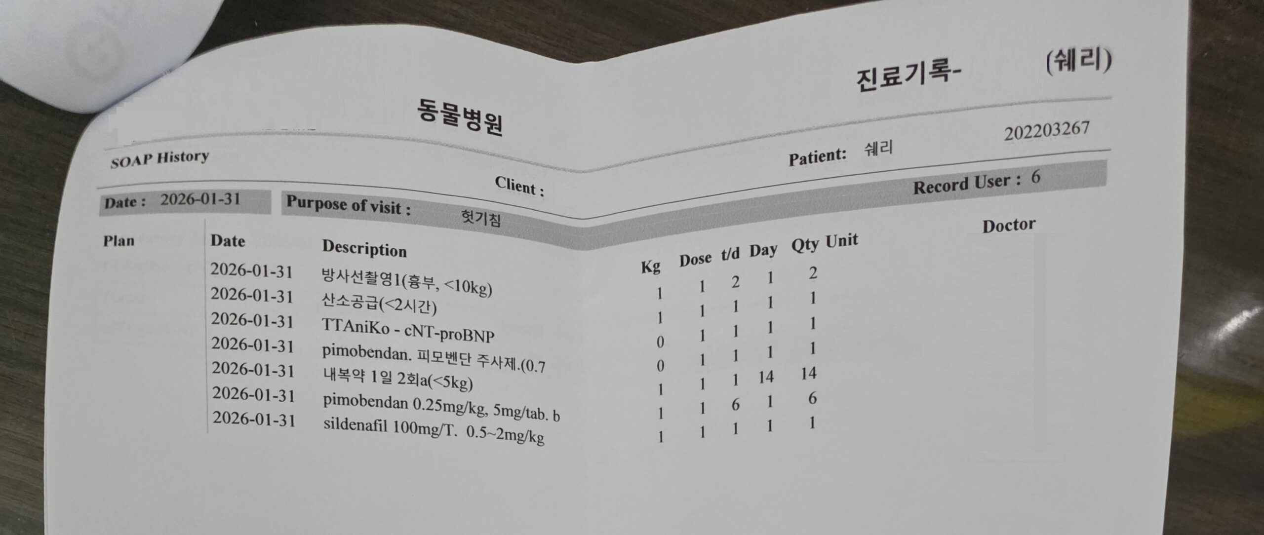 쉐리 진료기록, 흉부 엑스레이 산소공급 피모벤단 실데나필 심장약 처방 내역