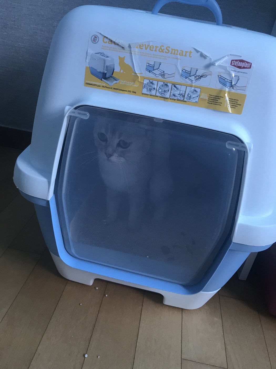 화장실 안에 들어가 있는 우리 집 고양이