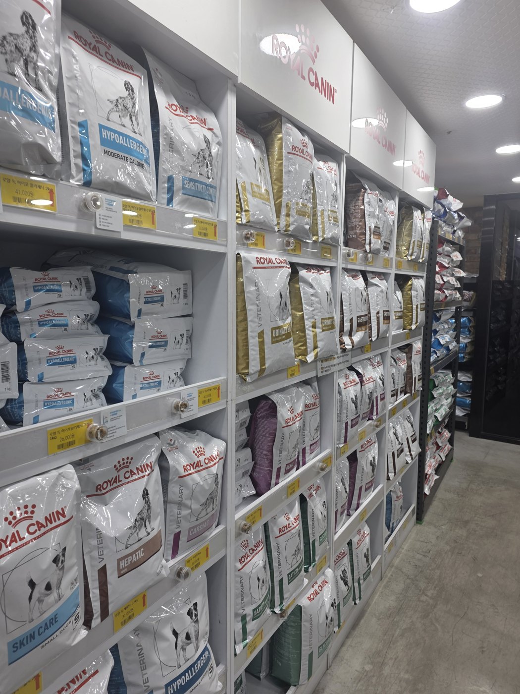 동물병원에 진열된 처방 사료와 반려동물 식품